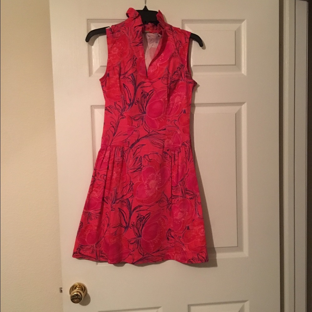 Sleeveless Pink Floral A-Line Dress